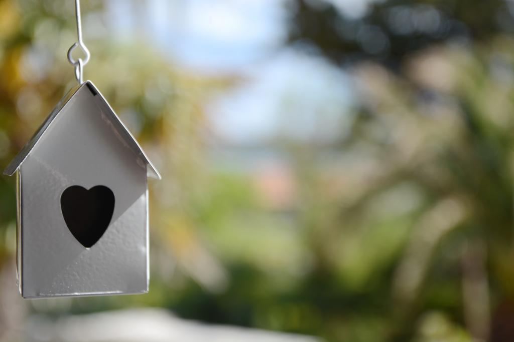 Apartments Katarina Veli Rat Ngoại thất bức ảnh